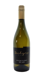 Ryzlink vlašský 2025